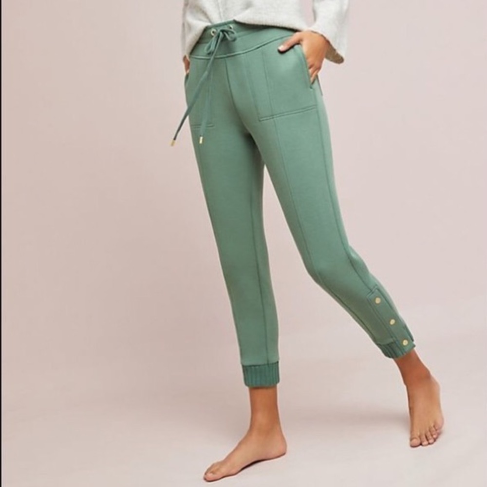 Anthropologie terry cropped joggers